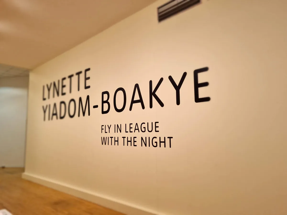 Lynette Yiadom-Boakye Gallery Image 202